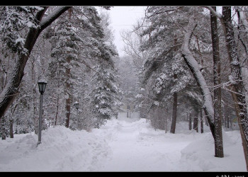 Природа в Шмаковке, Россия. Фото 2 – фотографии России