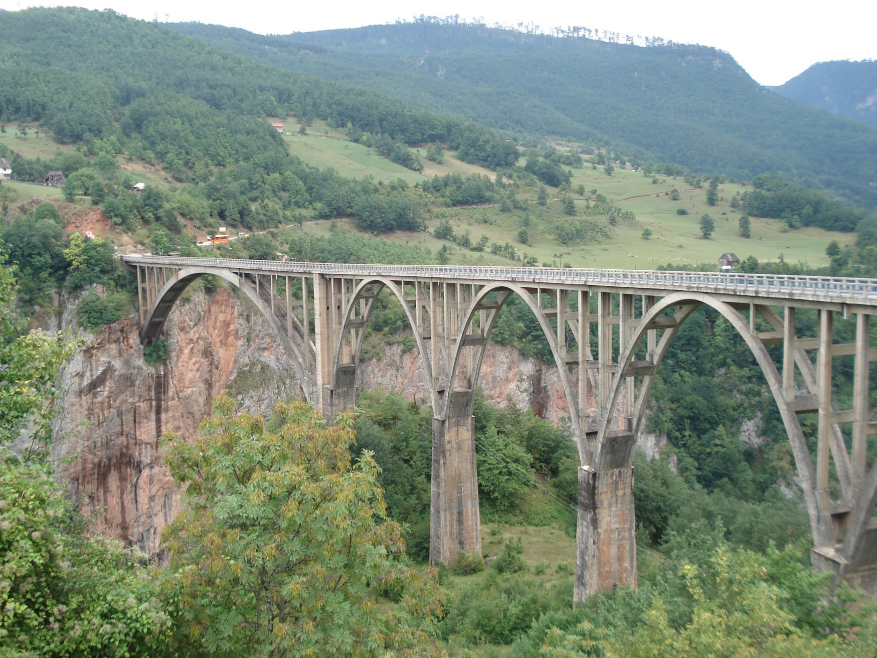 Тара Каньон – фотографии Черногории