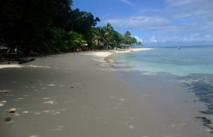 Лелеувиа остров, Вити Леву группа островов, Фиджи, фото № 49752 – фотографии Фиджи