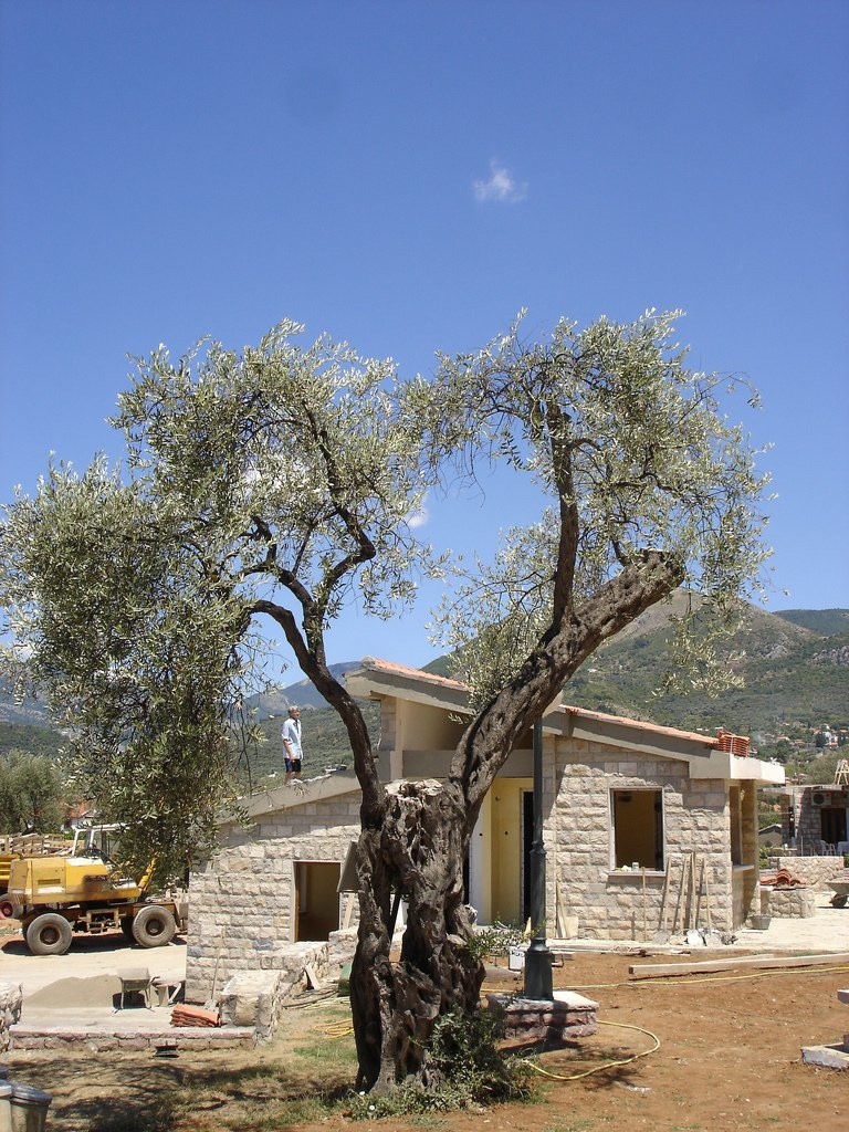 Строительство дома в Бар, Черногория – фотографии Черногории