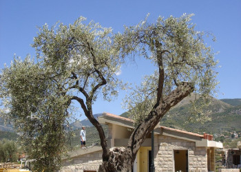 Строительство дома в Бар, Черногория – фотографии Черногории