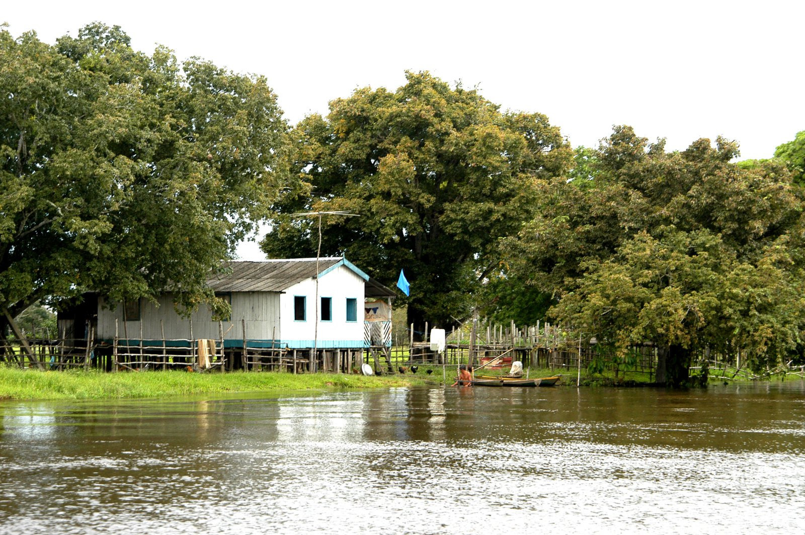 Амазонас штат, Бразилия, фото № 58777 – фотографии Бразилии