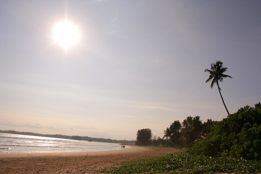 Велигама, Шри-Ланка, фото № 50863 – фотографии Шри-Ланки