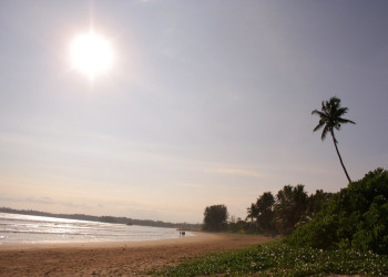 Велигама, Шри-Ланка, фото № 50863 – фотографии Шри-Ланки