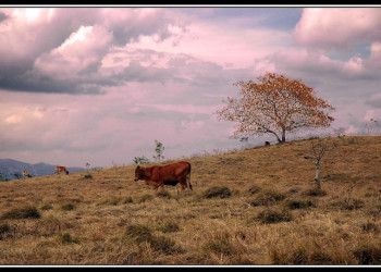 Доминикана, фото № 440 – фотографии Доминиканы
