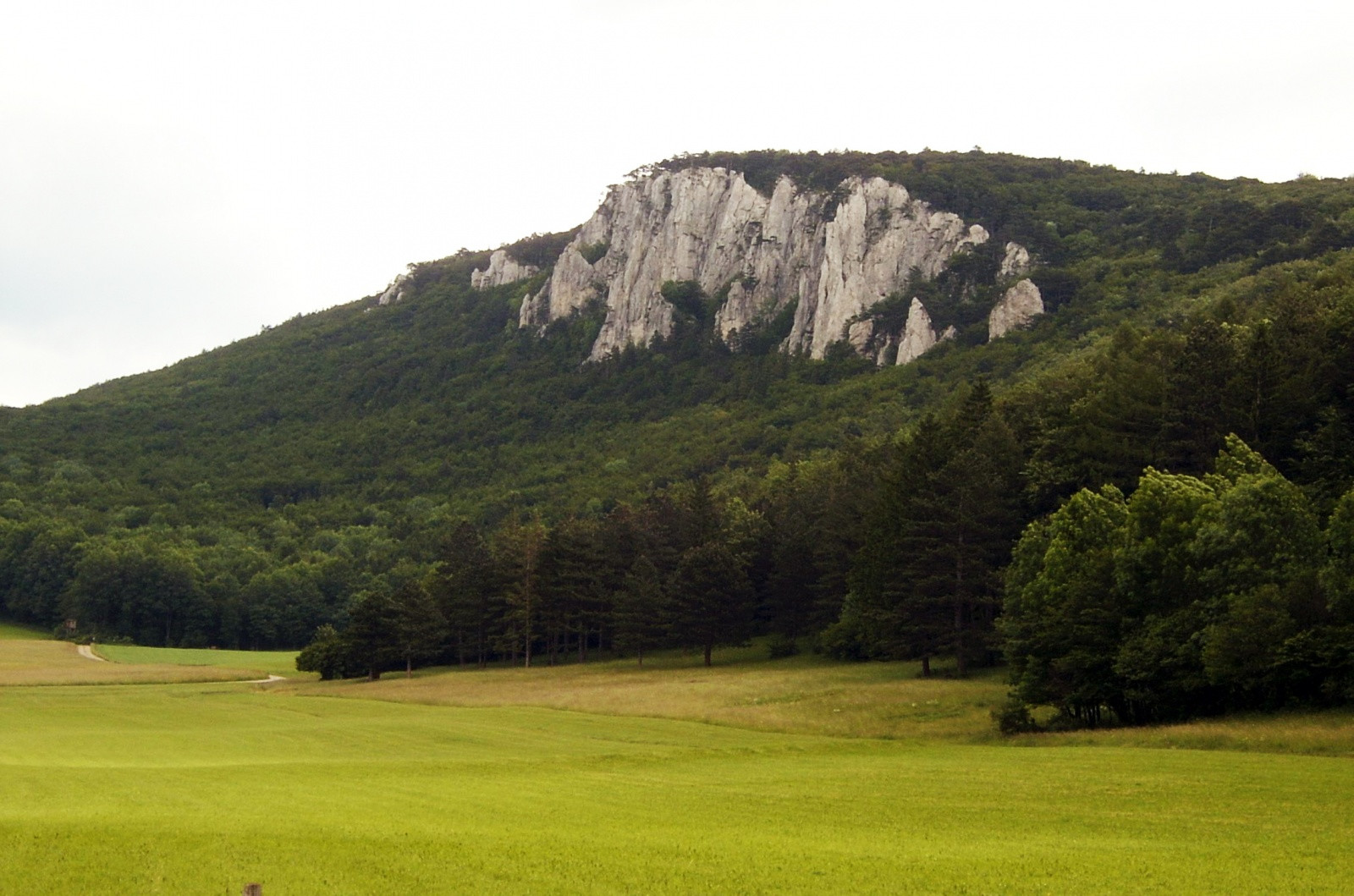 Пейзажи Венского леса – фотографии Австрии
