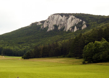 Пейзажи Венского леса – фотографии Австрии