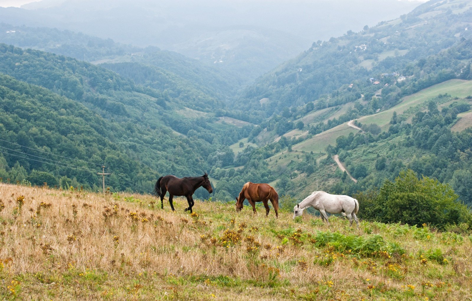 Сербия – фотографии Сербии