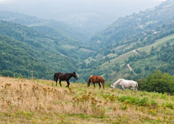 Сербия – фотографии Сербии