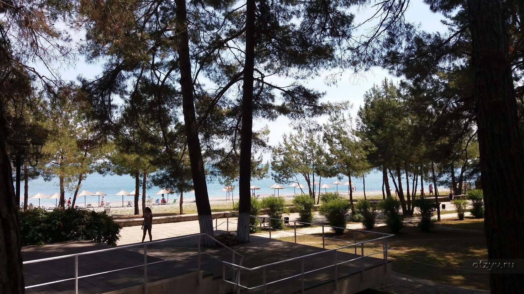 Парк на набережной. Пицунда – фотографии Абхазии