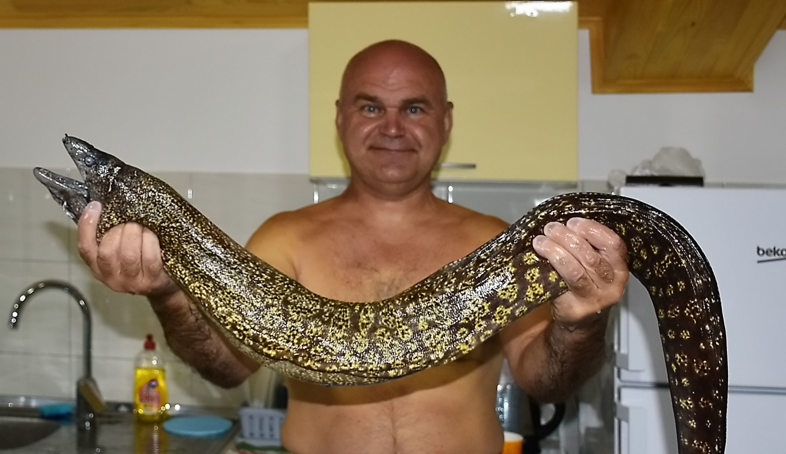 Морские трофие – фотографии