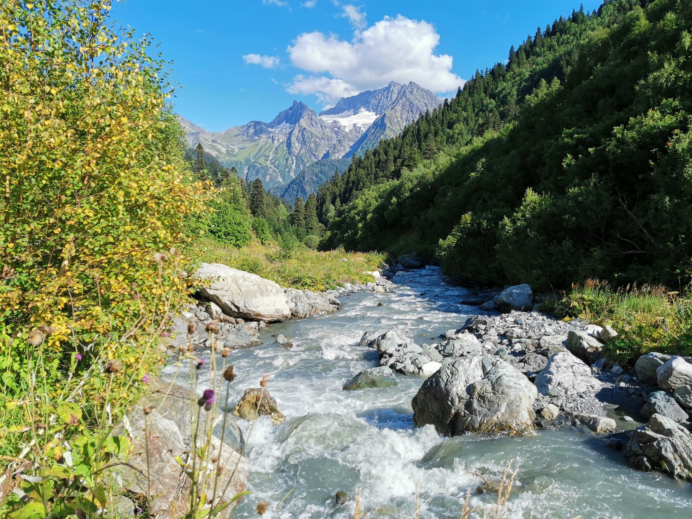 Истоки Лабы – фотографии России