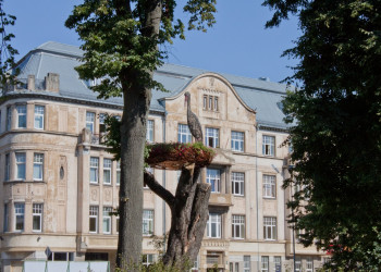 Проспект Курмаяс – фотографии Латвии