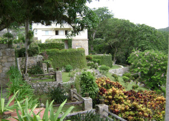 Растения в Пинар дель Рио провинция, Куба – фотографии Кубы