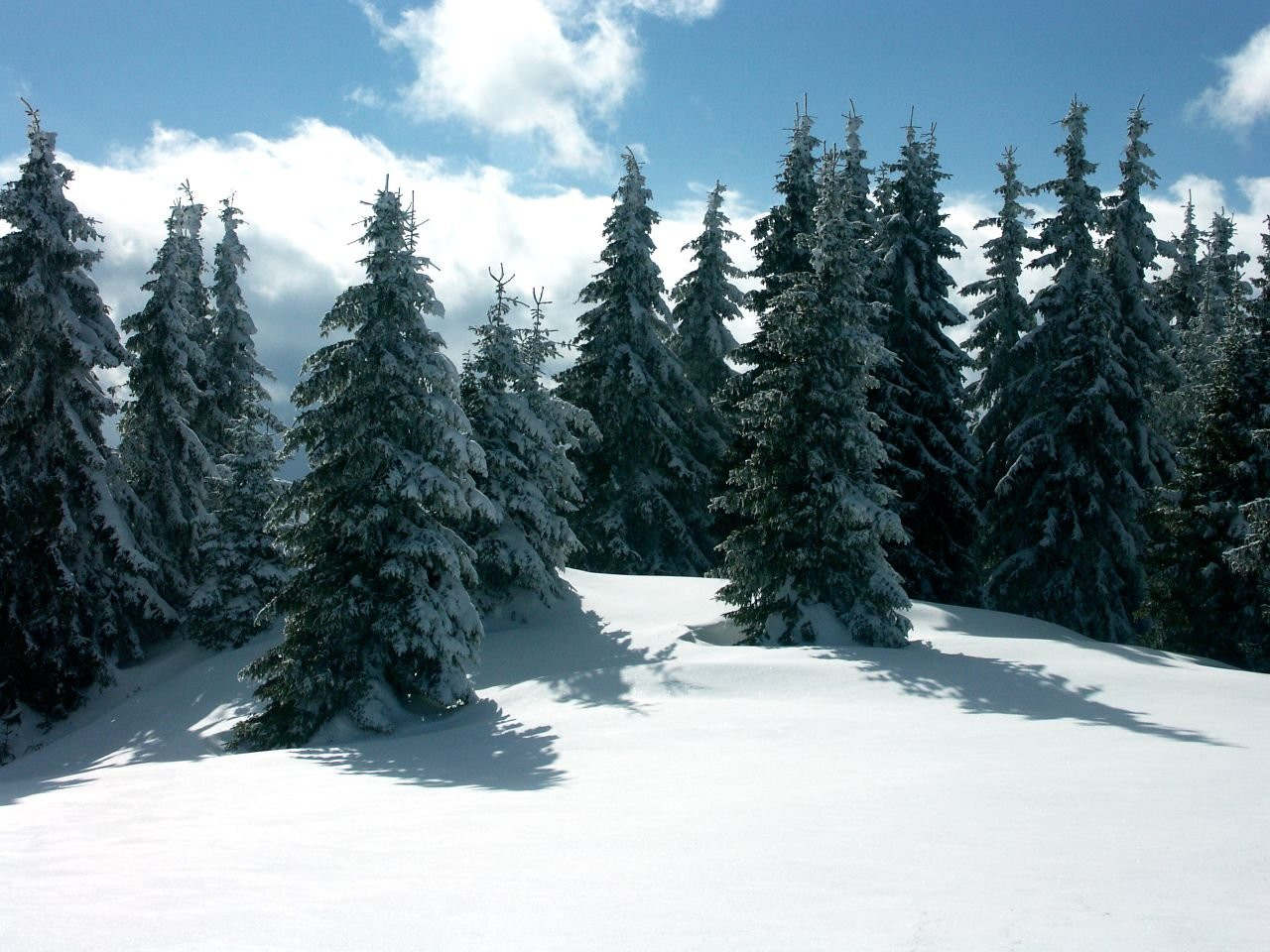 Пейзаж в Пампорово, Болгария – фотографии Болгарии