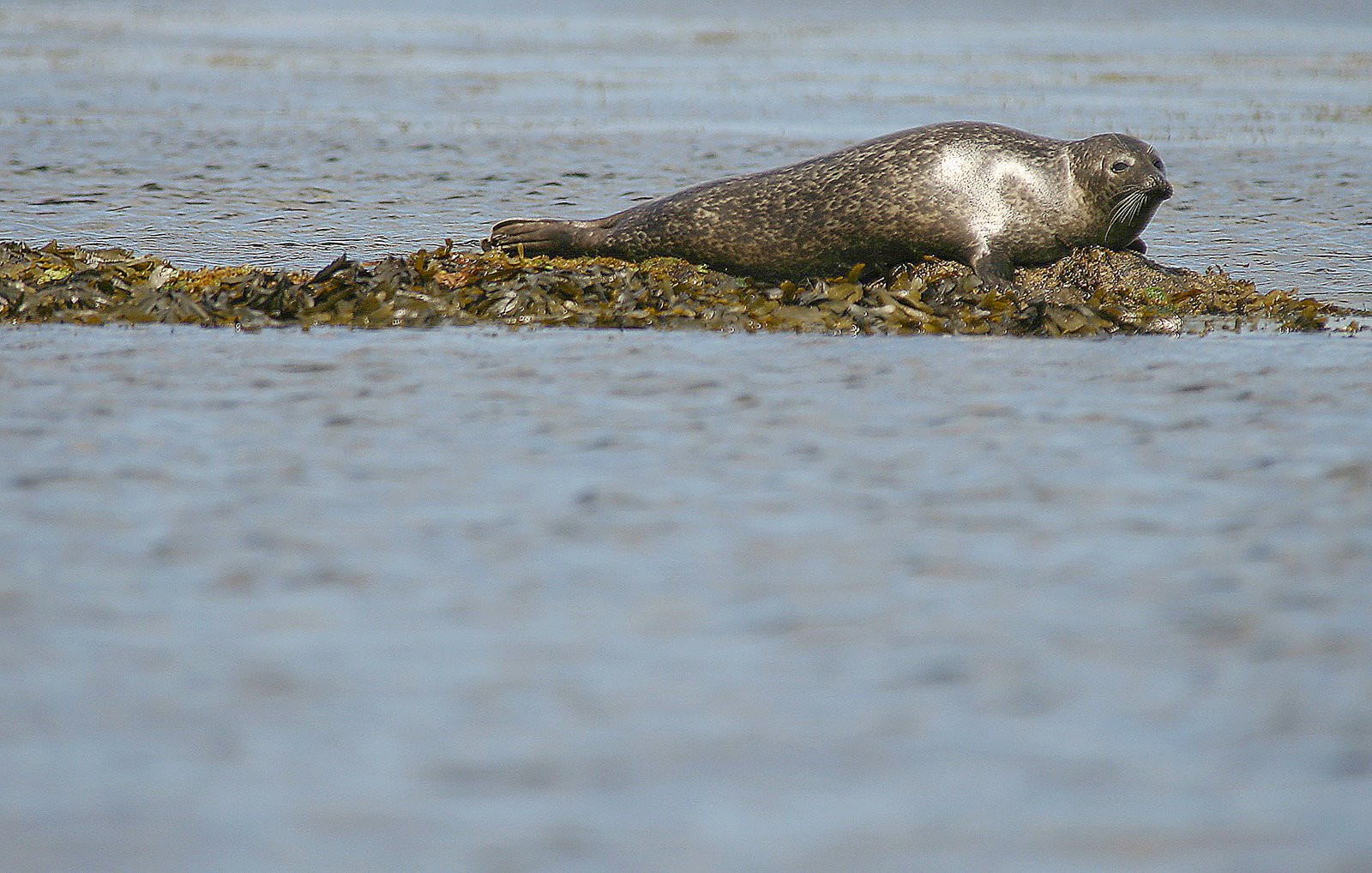 Ирландия, фото № 2571 – фотографии Ирландии