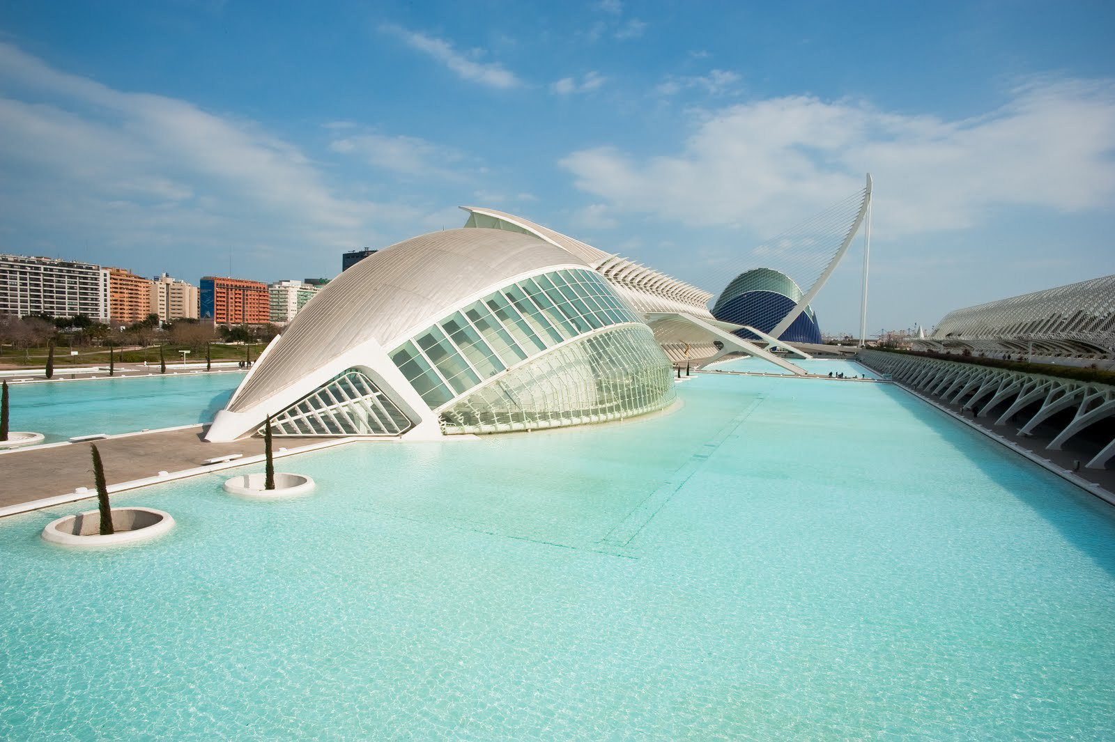 Необычная архитектура Дворца искусств в Валенсии, Испания – фотографии Испании