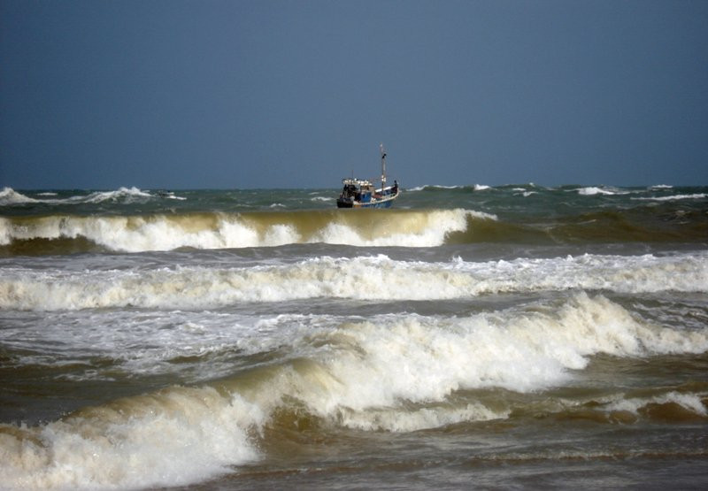 Шри-Ланка, фото № 1124 – фотографии Шри-Ланки