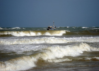 Шри-Ланка, фото № 1124 – фотографии Шри-Ланки