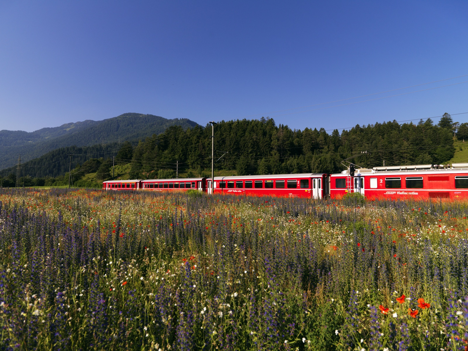 Ретийская железная дорога (Rhätische Bahn). Фото 4 – фотографии Швейцарии