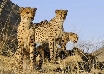 Намибия, фото № 5599 – фотографии Намибии