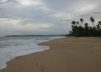 Тангалле, Шри-Ланка, фото № 52372 – фотографии Шри-Ланки