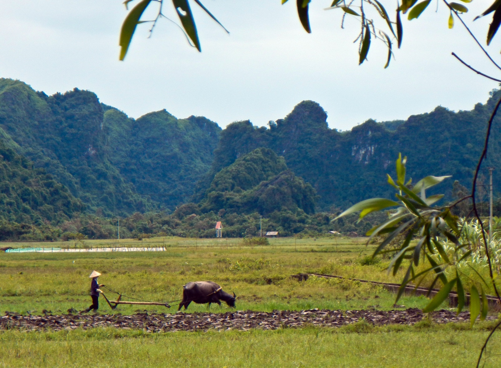 Сельские пейзажи здесь великолепны – фотографии Вьетнама