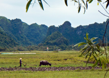 Сельские пейзажи здесь великолепны – фотографии Вьетнама