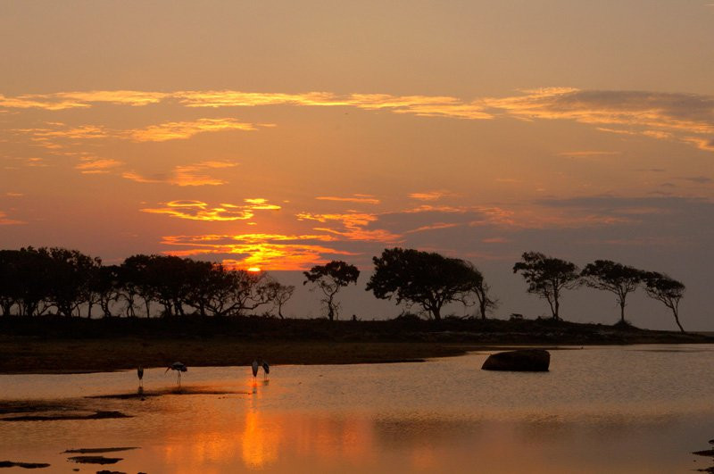 Яла Национальный Парк, Шри-Ланка, фото № 52613 – фотографии Шри-Ланки
