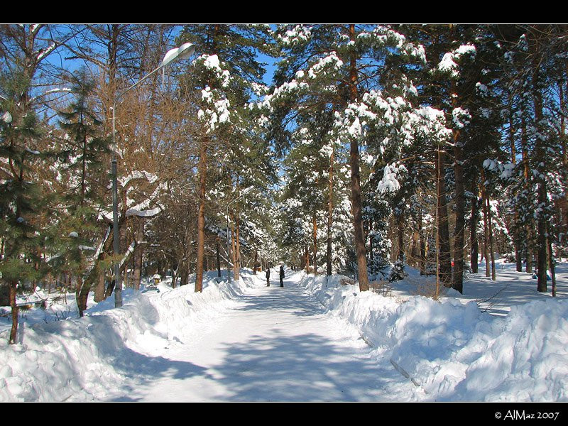 Парк в Шмаковке, Россия. Фото 2 – фотографии России
