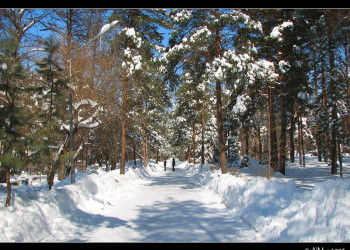 Парк в Шмаковке, Россия. Фото 2 – фотографии России