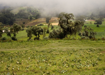 Иразу Национальный Парк, Картаго провинция, Коста-Рика, фото № 39089 – фотографии Коста-Рики