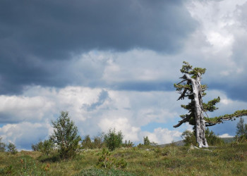 Природа Национального парка, Россия. Фото 3 – фотографии России