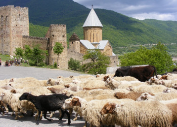 Ананури, Грузия, фото № 73315 – фотографии Грузии