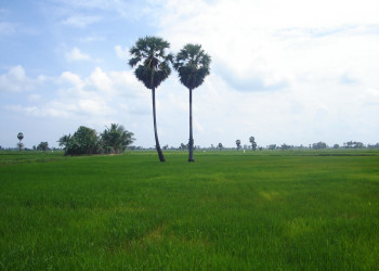 Баттикалоа, Шри-Ланка, фото № 50561 – фотографии Шри-Ланки