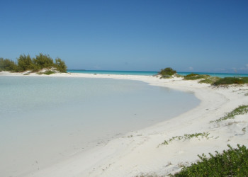 Берега на  острове  Берри Айлендс, Багамские острова. Фото 12 – фотографии Багамских островов