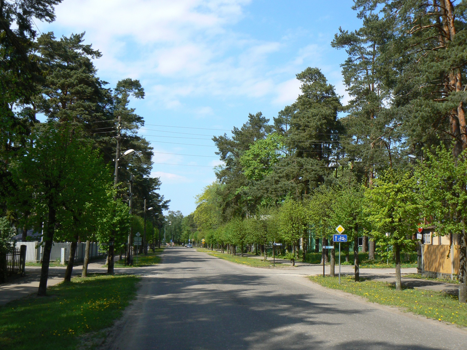 Зелёная Юрмала – фотографии Латвии