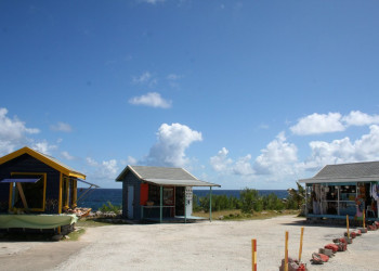 Домики на побережье Animal Flower Cave Барбадос – фотографии Барбадоса