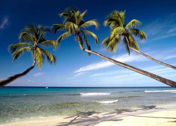 Пляж на Западном побережье, Барбадос. Фото 34 – фотографии Барбадоса