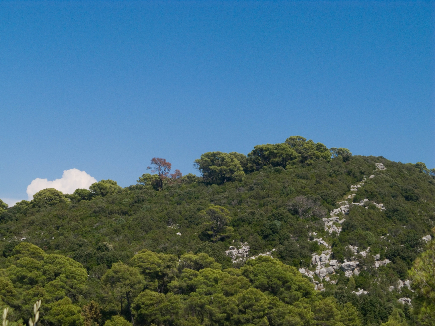 Природа в Национальном парке, Хорватия. Фото 5 – фотографии Хорватии