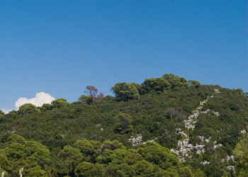 Природа в Национальном парке, Хорватия. Фото 5 – фотографии Хорватии