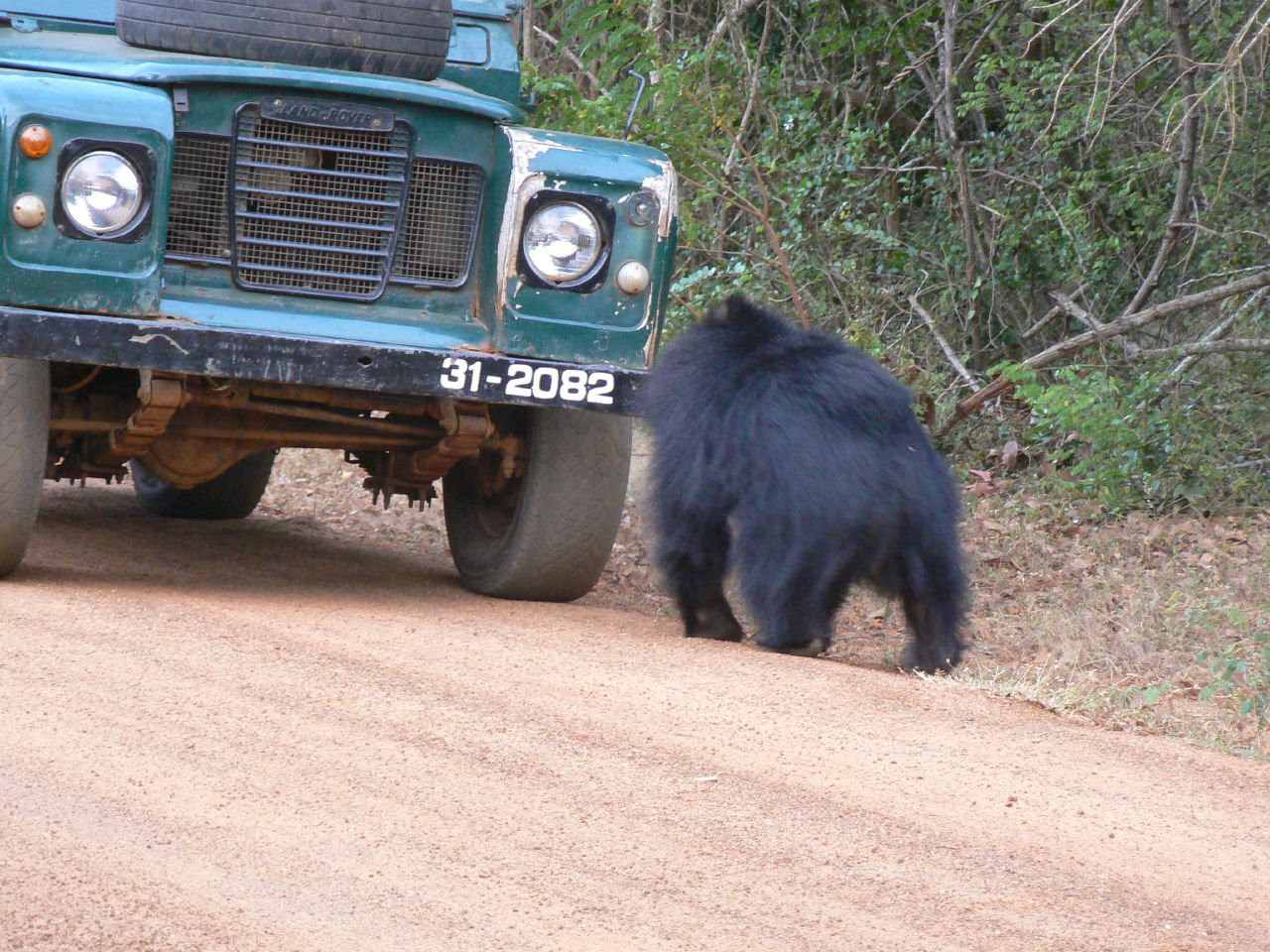 Яла Национальный Парк, Шри-Ланка, фото № 52655 – фотографии Шри-Ланки