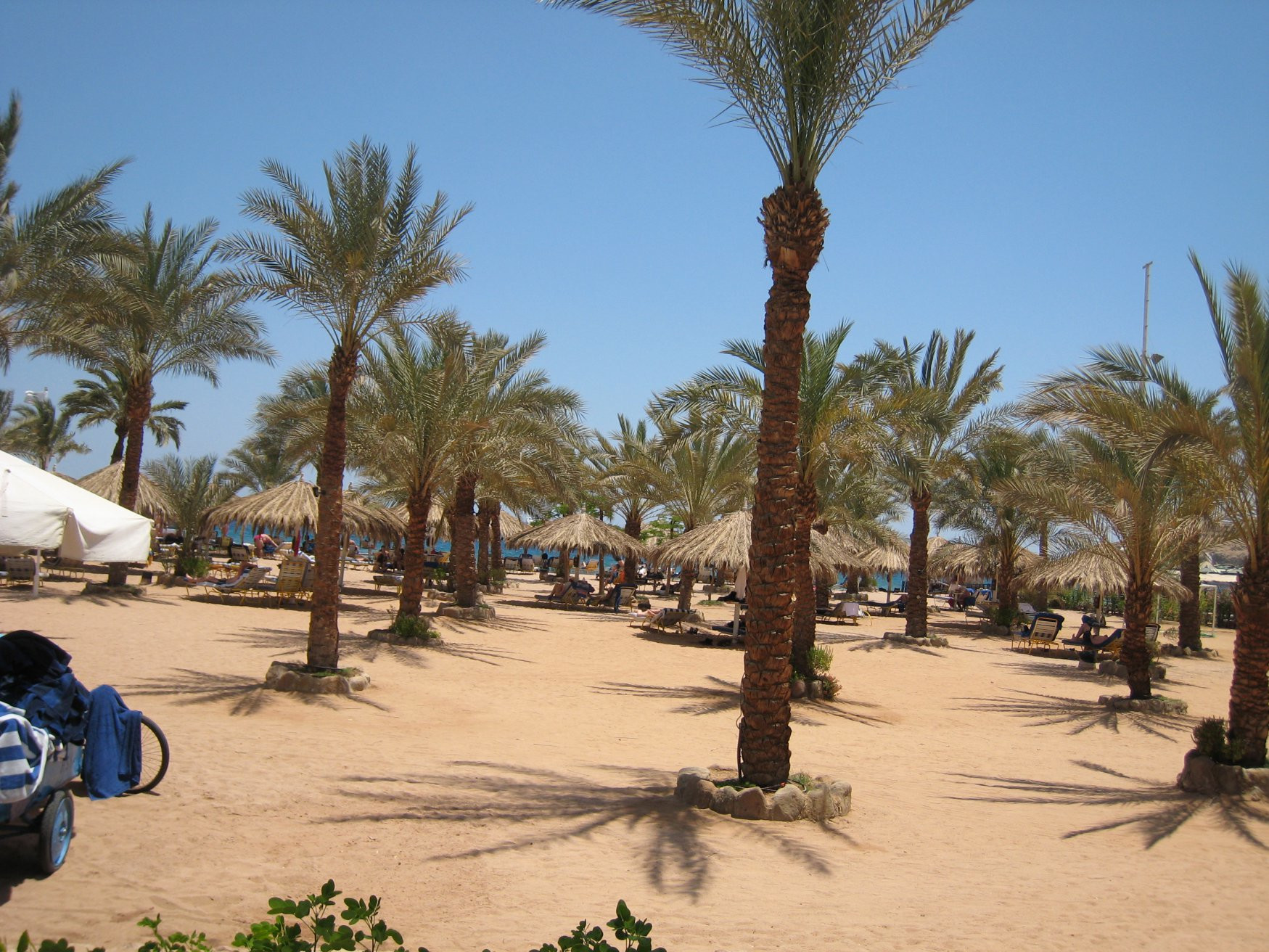 Шарм-эль-Шейх, Египет, фото № 35762 – фотографии Египта