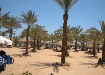 Шарм-эль-Шейх, Египет, фото № 35762 – фотографии Египта