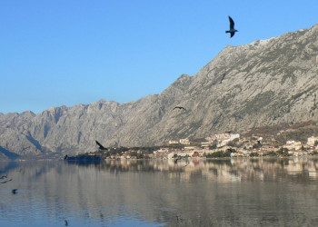 Горы в Которском заливе, Черногория. Фото 19 – фотографии Черногории