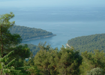 Природа в Вели-Лошинь, Хорватия. Фото 1 – фотографии Хорватии