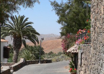 Бетанкурия, Фуэртевентура остров, Канарские острова, фото № 34035 – фотографии Канарских островов