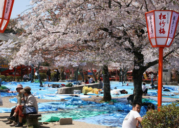 Kyoto, southern Higashiyama – фотографии Японии