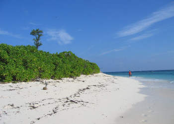 Пляж на острове Бёрд – фотографии Сейшельских островов