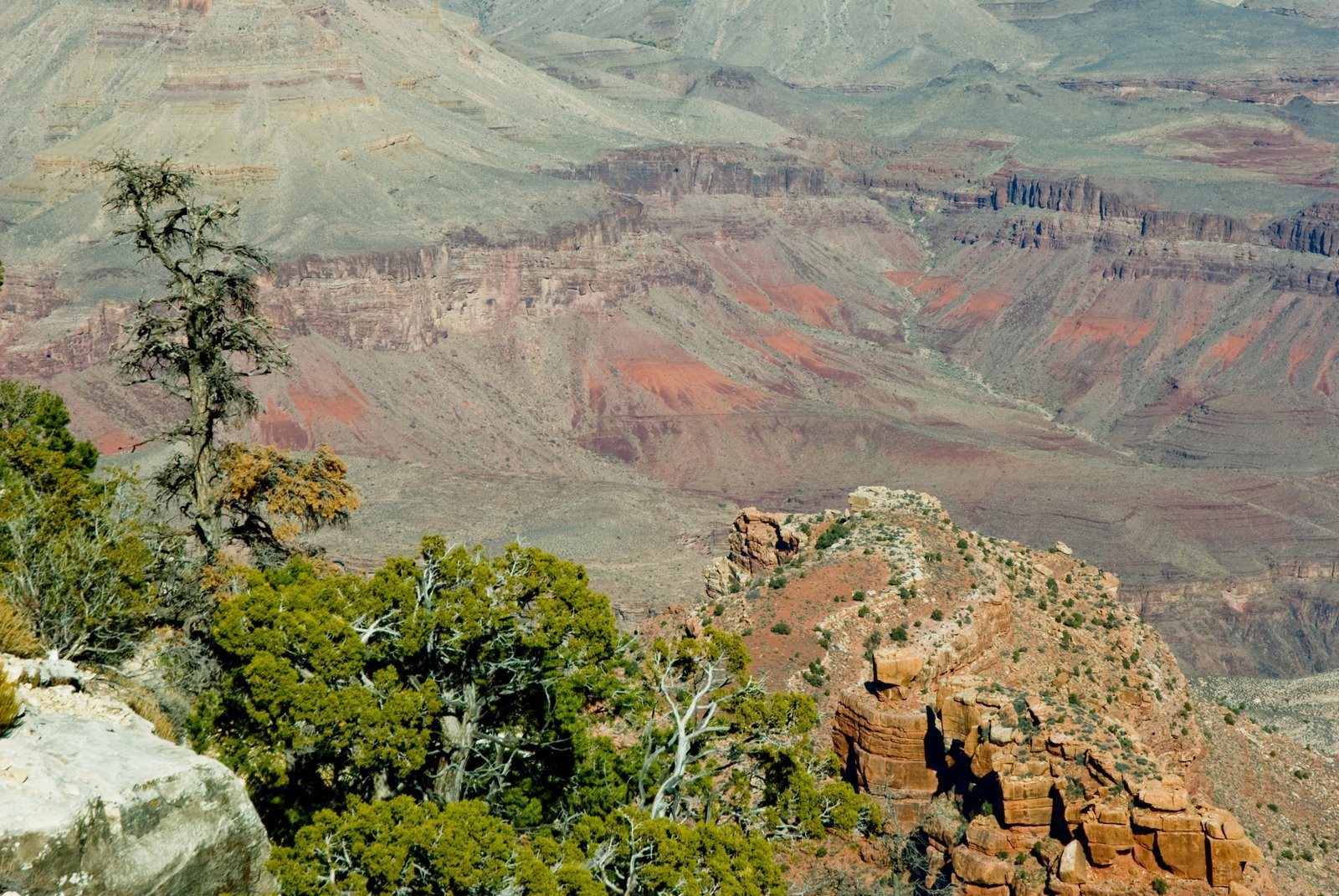 Гранд-Каньон Национальный парк, Аризона штат, США, фото № 67807 – фотографии США